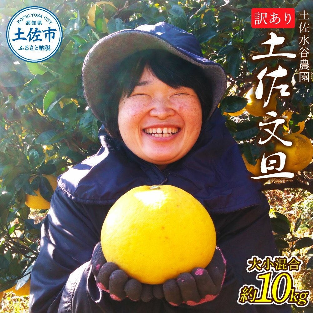 【ふるさと納税】本場、高知県土佐市産！土佐水谷農園の露地土佐文旦 家庭用10キロ 10kg 大小混合（L～上限なし：16玉前後） 訳あり 文旦 ぶんたん ブンタン 土佐文旦 家庭用 ご自宅用 柑橘 フルーツ 果物 ご当地 土佐 高知 ふるさとのうぜい 故郷納税 高知県 18000円 土佐市