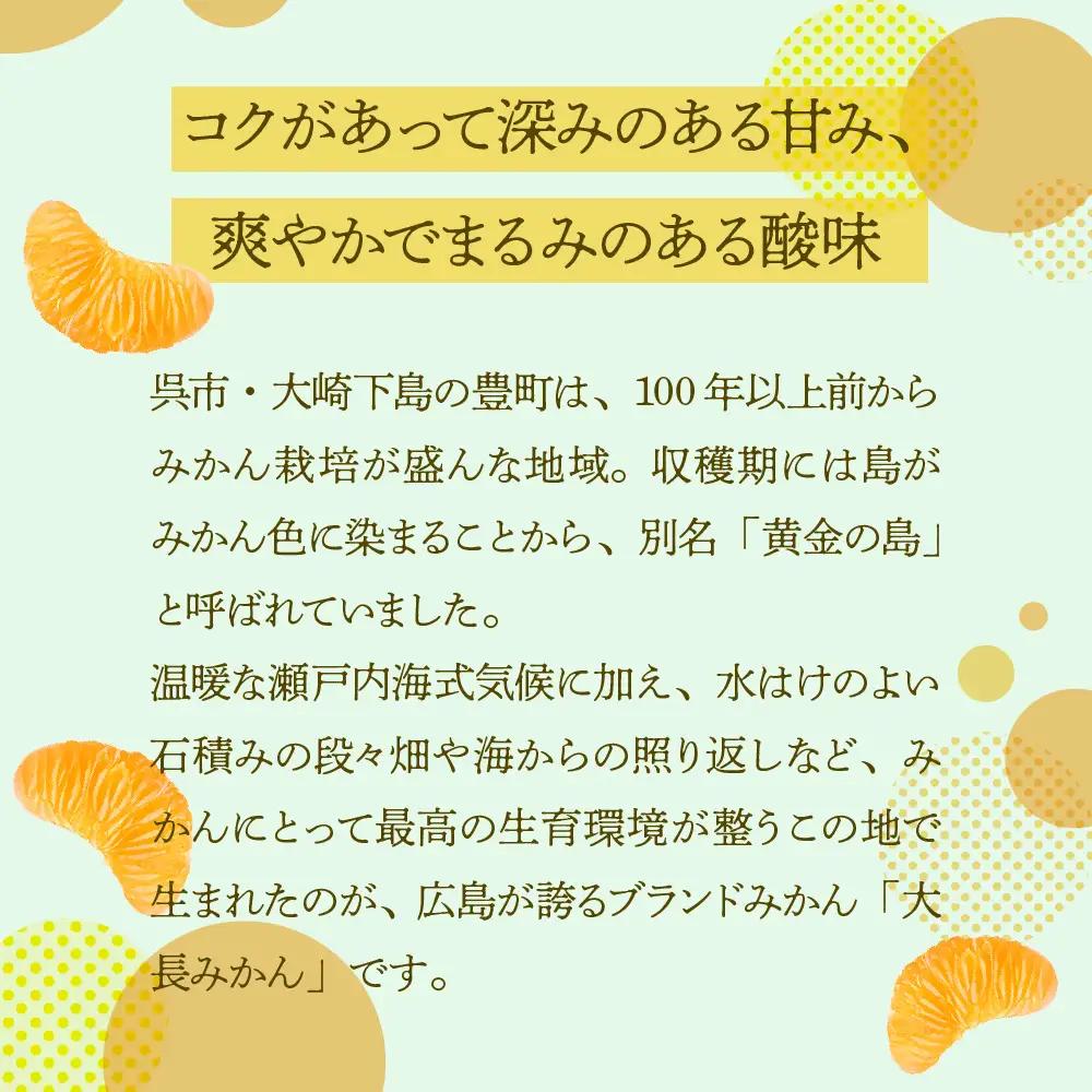【先行受付】【2026年12月上旬～発送】広島 大長みかんと大長檸檬3個セット 5kg ku012-010-26