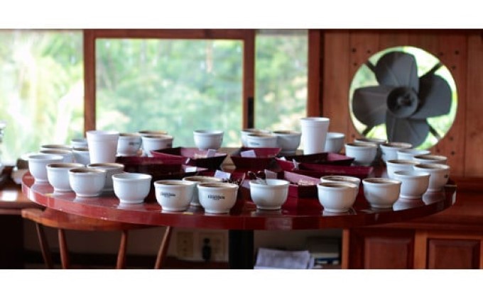 珈琲 自家焙煎 ブルーマウンテン No.1＆ゲイシャ 各200g：豆