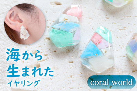 【色が選べる】海から生まれたイヤリング（Ｌサイズ） mi0012-0204 ｱｸｾｻﾘｰ 海洋ﾌﾟﾗｽﾁｯｸ 一点もの 白 青 ｶﾗﾌﾙ SDGs