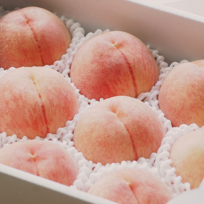 【定期便3回】3種の桃　食べきり定期便～各2kg～ 【令和7年産先行予約】FS23-706