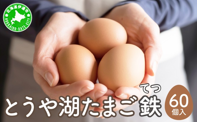 北海道 伊達市 とうや湖 卵 鉄  60個 入り たまご
