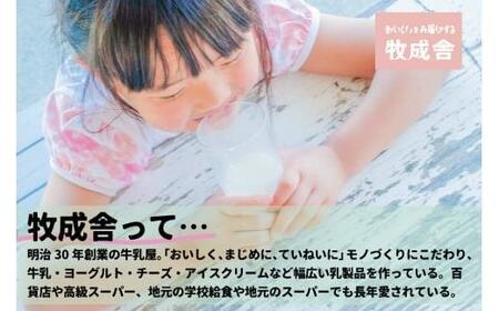 【寄附額見直しました！】【12月配送】＜牧成舎＞ 飛騨の牛乳屋のこだわりヨーグルト (30個セット)  |  年内発送 おいしい ヨーグルト 食品 健康 濃厚 朝食 牧場 発送時期が選べる 飛騨高山 