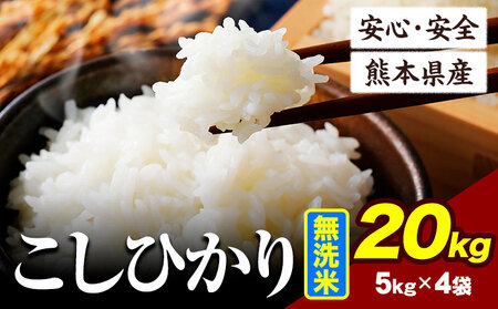 令和6年産 こしひかり 20kg 《7-14日以内に出荷予定(土日祝除く)》熊本県産 ｜無洗米無洗米無洗米