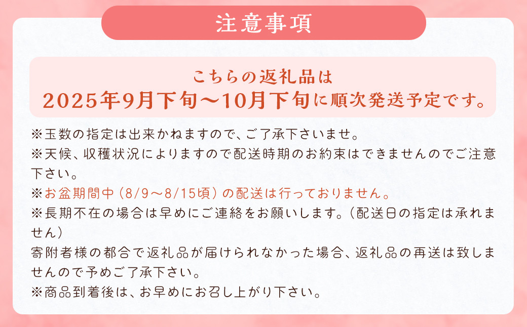 新興梨 9～12玉 約5kg ナシ 梨 福岡県産