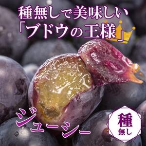 山梨県山梨市産の巨峰 2房 約1kg【配送不可地域：離島・沖縄県】【1513024】
