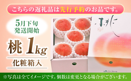 【2025年5月発送】先行予約 産地直送 桃 化粧箱入り 約1.0kg　モモ ピーチ くだもの 果物 フルーツ 甘熟 果実 果汁 広川町 / JAふくおか八女農産物直売所どろや[AFAB011]