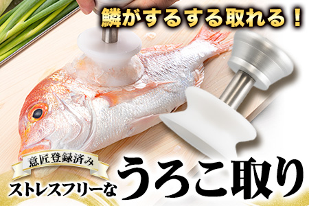 ストレスフリーなBM式うろこ取り《30日以内に出荷予定(土日祝除く)》有限会社BMエンジニアリング 福岡県 鞍手町 鱗取り うろこ取り 魚 料理 調理器具 送料無料