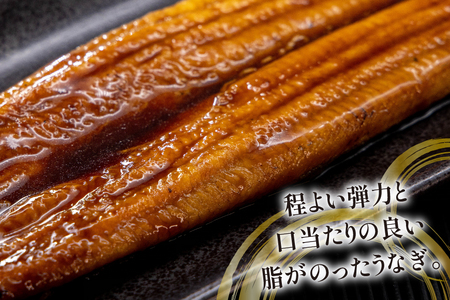 うなぎ 静岡県産 鰻2尾 約160g×2 蒲焼1尾 白焼1尾 [駿河淡水株式会社 静岡県 吉田町 22424653] 国産 鰻 ウナギ 蒲焼 蒲焼き かば焼き 白焼き 白焼 真空パック