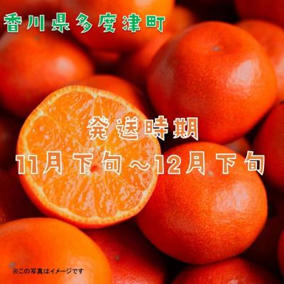 ふるさと納税 多度津町 『小原紅早生みかん』約5kg【A-32】 |  | 01