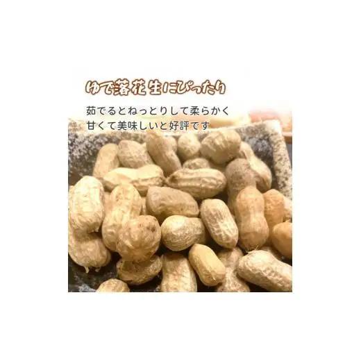 【今秋収穫分】落花生 おおまさり 2.5kg 殻付き 予約受付 生落花生 千葉県産 ピーナッツ 大粒 産地直送