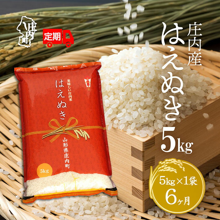 【ふるさと納税】＜10月中旬発送＞庄内米6か月定期便！はえぬき 5kg（入金期限：2025.9.25）ふるさと納税 米 定期便 山形県 新米受付 新米