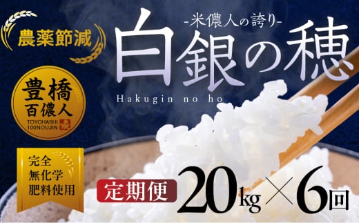 【定期便】米儂人の誇り 白銀の穂 20kg×6回 お米 おこめ 米 コメ kome 令和7年