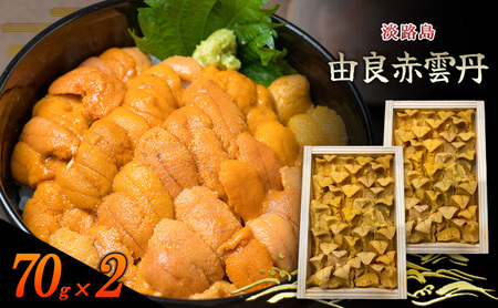 うに 由良産 赤ウニ 70g 2枚 木箱 うに