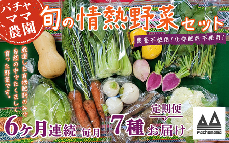 野菜 無農薬 農園自慢の情熱野菜セット 7品 【 6ヶ月 連続 お届け 】