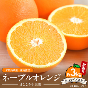 ZE6443_【2026年先行予約】和歌山県産 ネーブルオレンジ 【訳あり 家庭用】3kg サイズ混合【まごころ手選別】