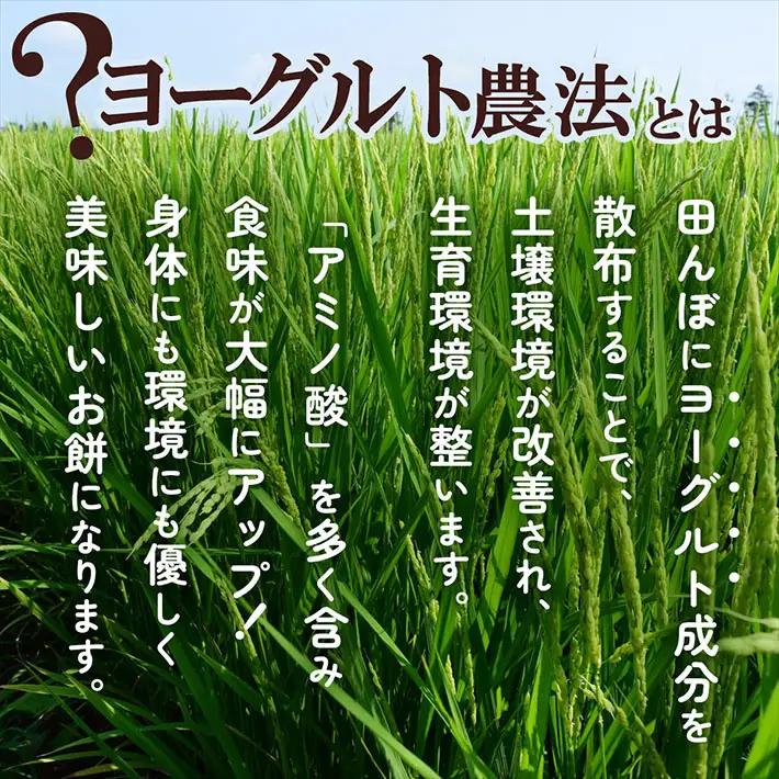 【6か月定期便】丸もち 杵つき餅 380g×3袋 柔らかくよく伸びる 丸もち お餅 小さめ お雑煮 丸餅 餅 もち 個包装 定期【8月中旬発送/入金期限：2026年7月25日】