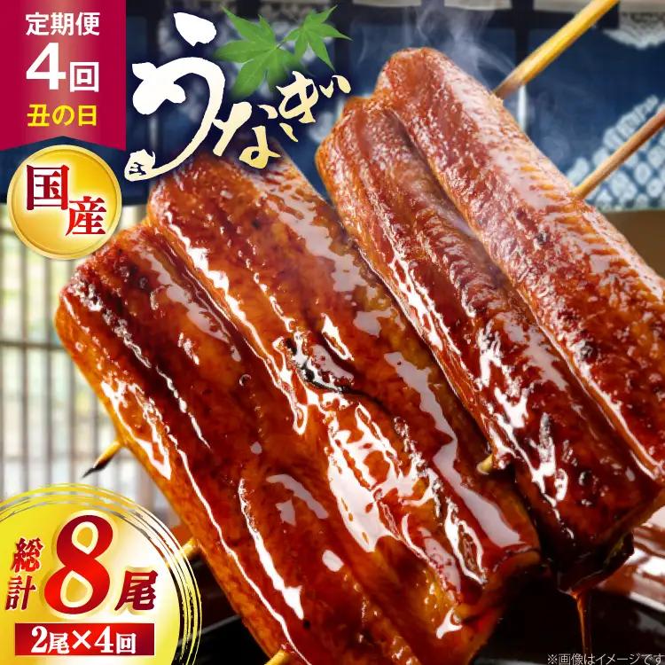 うなぎ 国産 日向うなぎ 蒲焼 中 2尾 計250g以上 4回 丑の日 定期便
