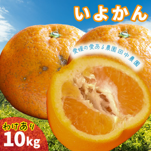 【2027年1月上旬頃から順次発送】伊予柑 いよかん 約10kg 【訳あり】橘類 先行予約 訳アリ ワケアリ フルーツ 柑橘類 先行予約 果物 フルーツ みかん イヨカン 宮内伊予柑 人気 おすすめ 愛媛 松山 田中農園 ﾐｶﾝ ﾐｶﾝ ﾐｶﾝ ﾐｶﾝ ﾐｶﾝ ﾐｶﾝ ﾐｶﾝ【TNN0072】