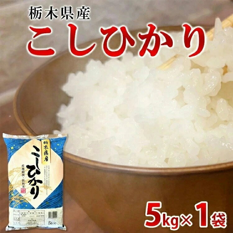 【ふるさと納税】【令和7年産】栃木県産こしひかり（精米・5kg×1袋）　※離島への配送不可