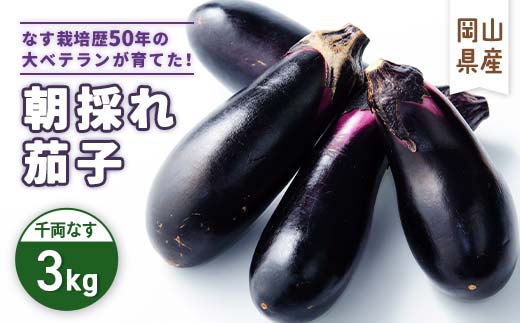
                  朝採れ茄子　3kg_千両なす ナス なす 茄子 千両茄子 野菜 やさい 獲れたて 朝採れ 3kg 漬物 浅漬け 煮びたし 焼きなす 炒め物 岡山県 津山市 国産 産直 産地直送 送料無料【1323067】
                