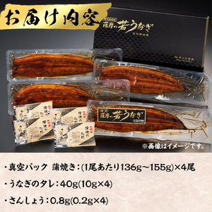 うなぎ 無投薬 鹿児島県産 (1尾あたり136g～155g×4尾) うなぎ 【西日本養鰻】A584