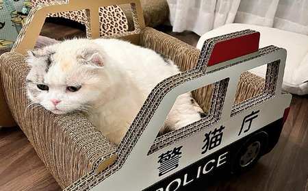 猫の爪とぎ　パトカー 猫 ねこ ネコ キャット cat 爪とぎ ダンボール 段ボール なりきり かわいい 写真映え 丈夫 日本製 国産 おもちゃ ペット インテリア 愛猫 動物 猫用品 猫用玩具 グッ