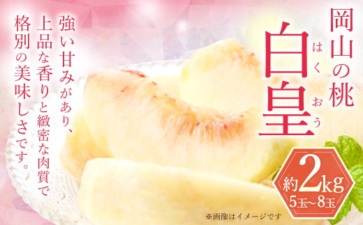 岡山の桃白皇5～8玉約2kg