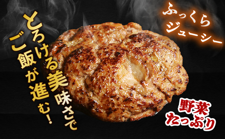ハンバーグ 9個×140g ハンバーグ はんばーぐ 無添加