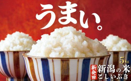 【最短7日発送】令和7年産 こしいぶき 5kg コシヒカリ こしひかり 遺伝子を引き継ぐ ご飯 備蓄 コメ お米 米 こめ 新潟産 新潟米 新潟県 新潟 新発田 新発田市 国産 新発田市産 斗伸 toushin054