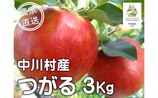 担当者おすすめ「味覚の里なかがわ」の旬のくだもの（つがる３Kg箱）８月20～31日発送予定