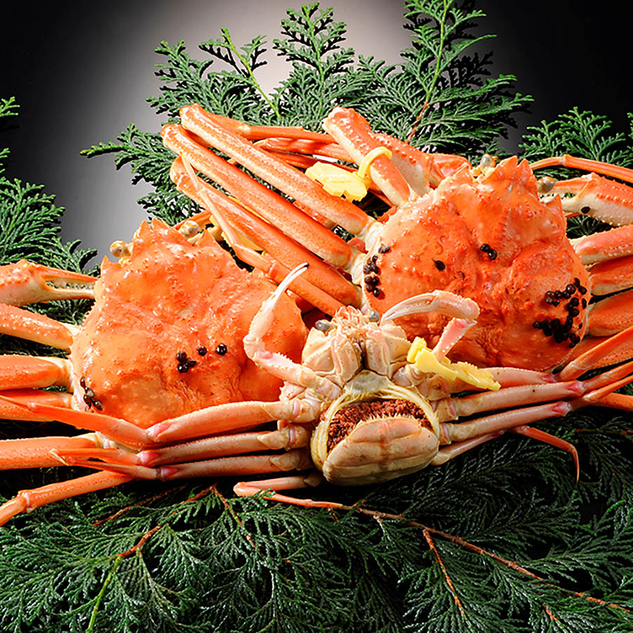 ＜福丸＞越前がに＆セイコがに 詰合せ