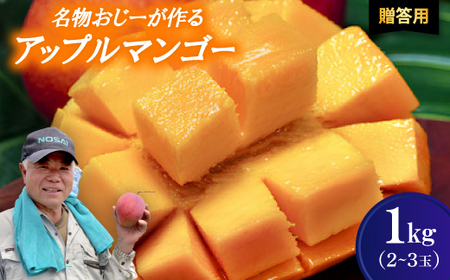 【2026年7月から順次発送・贈答用】名物おじーが作るアップルマンゴー1kg(2～3玉)【配送不可地域：離島】【1694660】