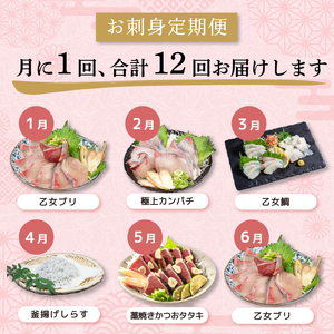 定期便 魚 12回 1年間お届け！ブリ 鯛 カンパチ カツオ しまあじ 鮮魚 お刺身 新鮮 産地直送 高知県 須崎市 ( 定期便 お魚 お刺身定期便 12回 定期便 おさかな定期便 1年 定期便 )