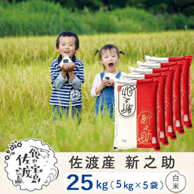 ふるさと納税 佐渡市 佐渡島産新之助 精米25Kg(5Kg×5袋) 令和7年産【食の宝島佐渡】