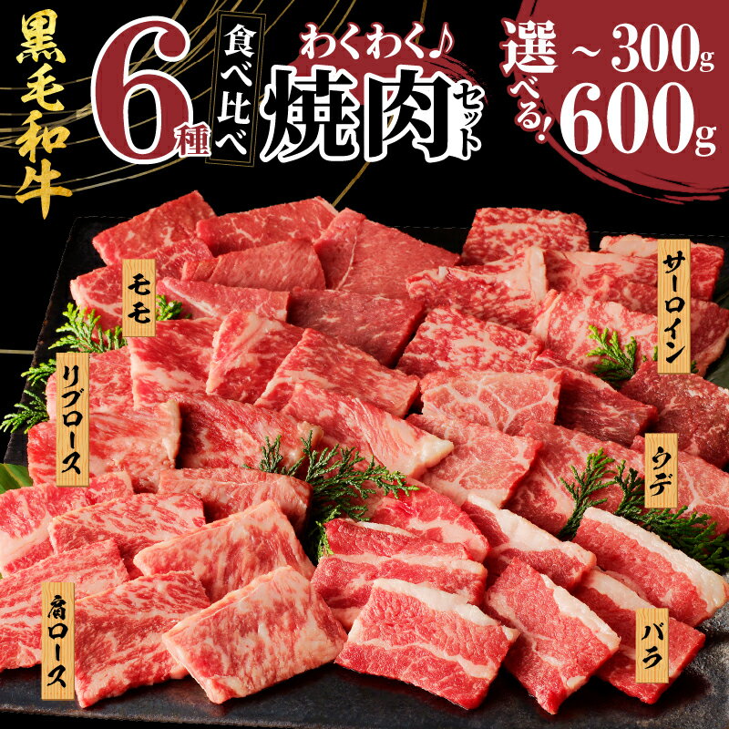 【ふるさと納税】★生産者応援★ 【内容量＆発送月が選べる】 訳あり 黒毛和牛 6種 焼肉 セット 300g 600g 肉 牛 牛肉 サーロイン 赤身 食べ比べ 牛丼 焼肉丼 経産牛 BBQ ギフト 贈り物 詰め合わせ おかず おつまみ 冷凍 ミヤチク 宮崎県 都農町 送料無料
