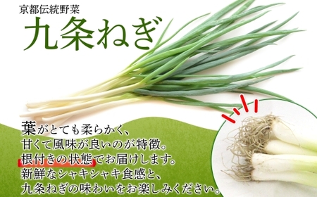 九条ねぎ 原体 根付き 3kg 京のおねぎはん 野菜 京野菜 野菜 野菜