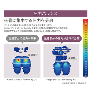 nishikawa / 西川 Keeps クッション for beauty グレー【P391U】　キープス クッション