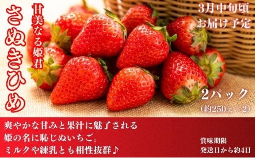 フルーツ 定期便 4回　旬に出逢う城下町の果実 定期配送 いちご 桃 シャインマスカット みかん ぶどう 果実 果物 フルーツ 旬のフルーツ フルーツギフト フルーツ定期 フルーツ定期便 果物定期 果