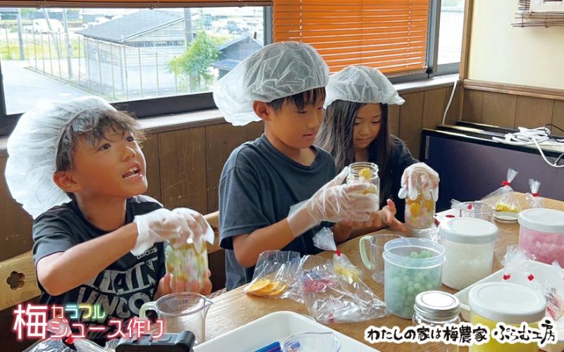 カフェドマンマ食事券1500円分＆カラフル梅ジュースづくり体験チケット  【iwasho003A】