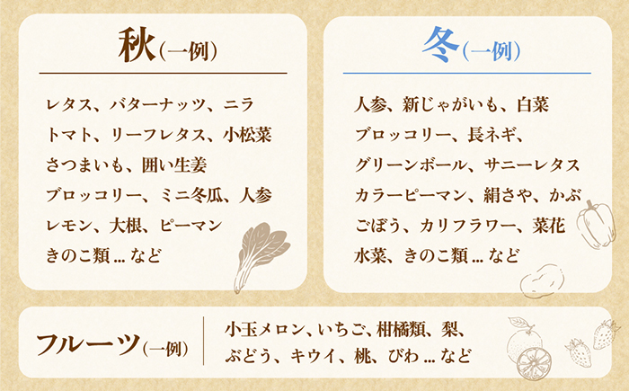 【12回定期便】　「旬の野菜・フルーツ」 詰め合わせ セット（13品〜15品）/ 野菜 定期便 やさい 定期便 野菜セット やさいセット 春野菜 夏野菜 秋野菜 冬野菜 旬新鮮 / 南島原市 /長崎県