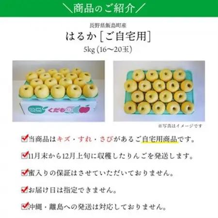 【桃沢晴香園】はるか(りんご)5kg　ご自宅用【配送不可地域：離島・沖縄県】【1606259】
