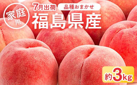 2026年先行予約 家庭用の桃 福島県産 品種おまかせ 約3kg 7月出荷分 数量限定 期間限定 桃 もも モモ 果物 くだもの フルーツ F21C-081