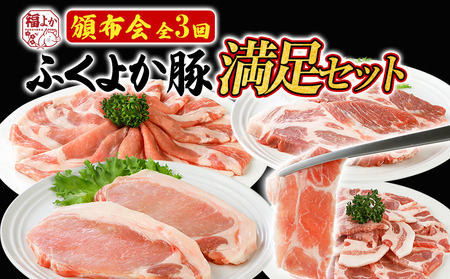 頒布会 豚肉 満足セット ふくよか豚