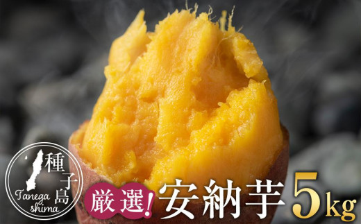 
                  厳選！本場種子島産安納芋5kg【安納芋 安納いも 焼き芋 焼芋 やきいも さつまいも スイーツ デザート おやつ 熟成 蜜 しっとり 甘い  鹿児島県 種子島 中種子町 あぐりの里 N157】
                