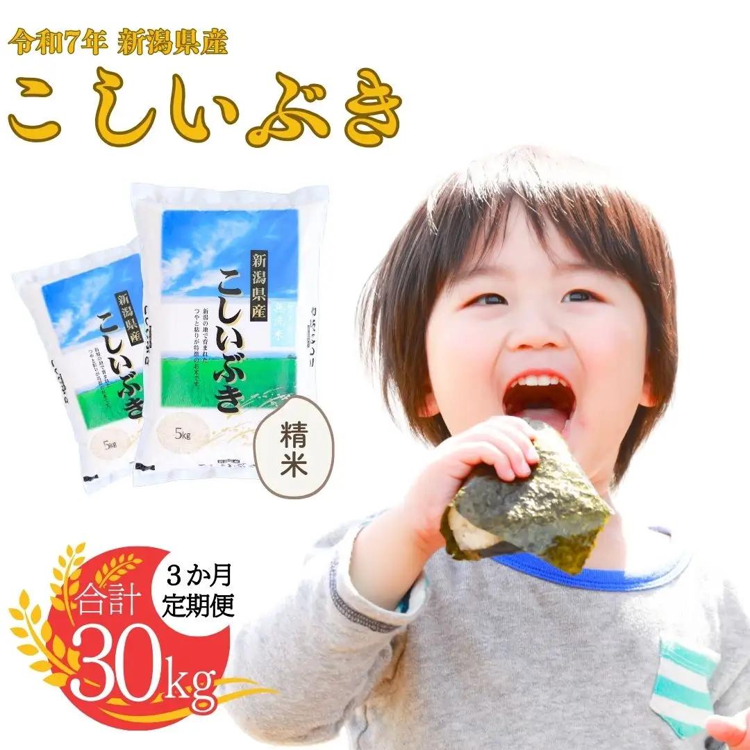 先行予約 [定期便10kg×3ヶ月] 新潟県産こしいぶき 計30kg 令和8年産 無洗米 白熊 コシイブキ【031S004】