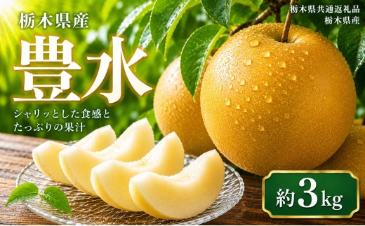 【2027年先行予約】豊水 約3kg  | 【栃木県共通返礼品】梨 なし ナシ 新品種 先行予約 大粒 新鮮 甘い 美味しい 果物 くだもの フルーツ ふるーつ 共通返礼品 フルーツ デザート 栃木県 那珂川町