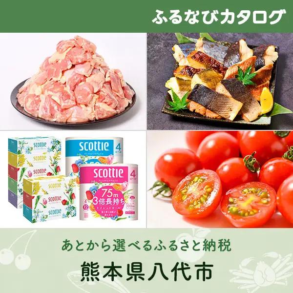 【有効期限なし！後からゆっくり特産品を選べる】熊本県八代市カタログポイント