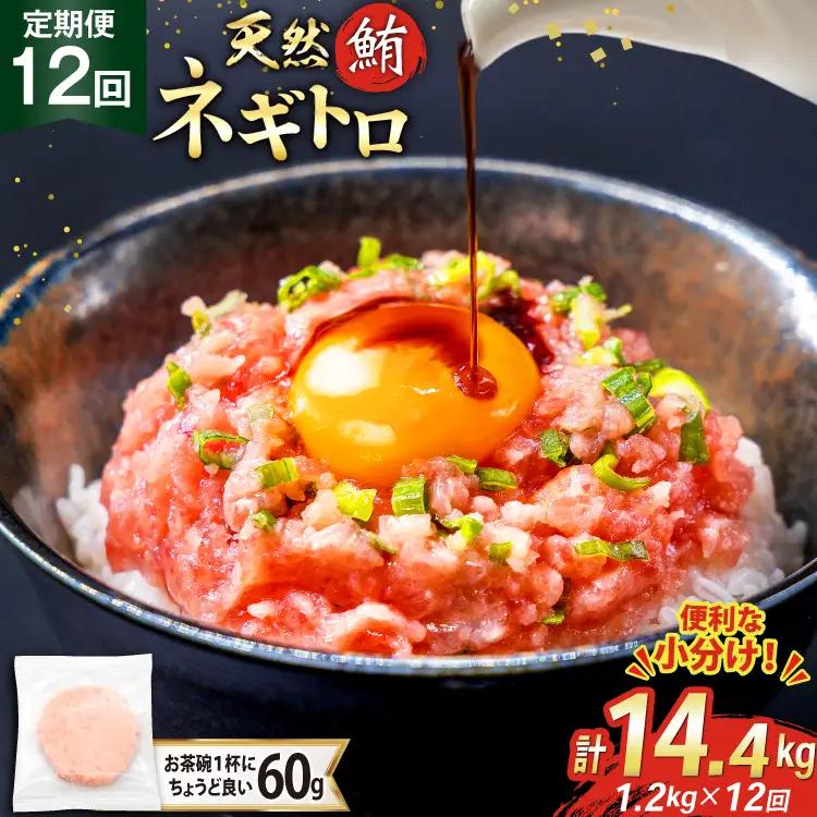 【ネギトロ】12回 定期便 ネギトロ まぐろたたき 60g 20個