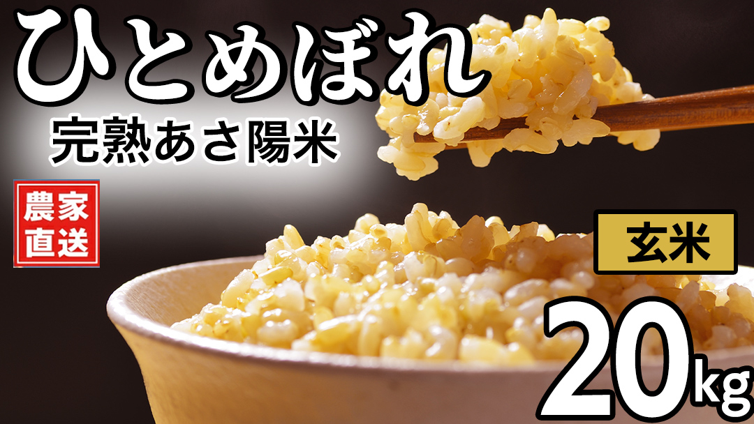 【 新米 】 完熟あさ陽米 (玄米) 20kg (5kg×4) ひとめぼれ 特別栽培米 令和8年産 生産農家直送 米 産地直送 こめ 玄米 ご飯 あさ陽米 岩手県 特別栽培 農家直送 事業者応援 生産